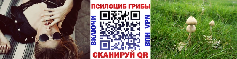 Галлюциногенные грибы GOLDEN TEACHER  гидра как войти  Бугуруслан 